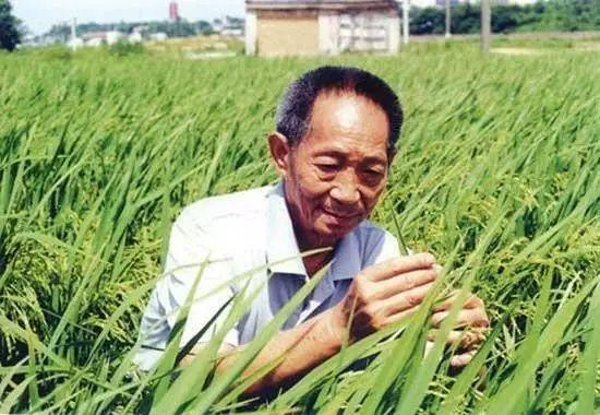 一日三餐，米香彌漫，飽食者當(dāng)憶袁公！